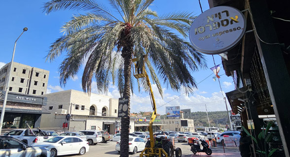 بلدية كفر قرع: نواصل الجهود للحفاظ على نظافة المدينة وجمال مدخلها