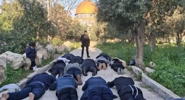 مصادر فلسطينية: عشرات المستوطنين يقتحمون باحات الأقصى ويؤدون طقوسا تلمودية